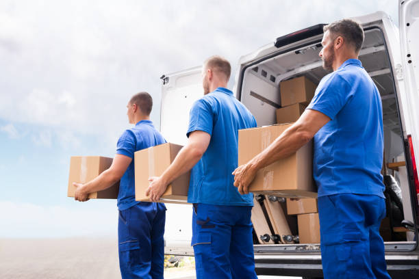Long Distance Movers Auckland